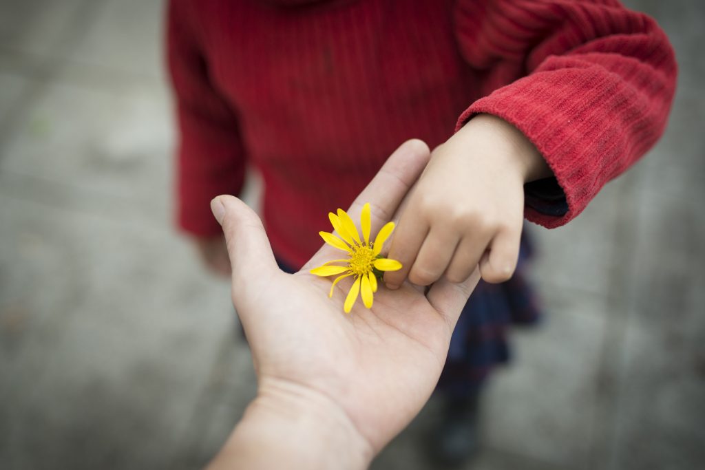 黄色い花を手渡す親子の手