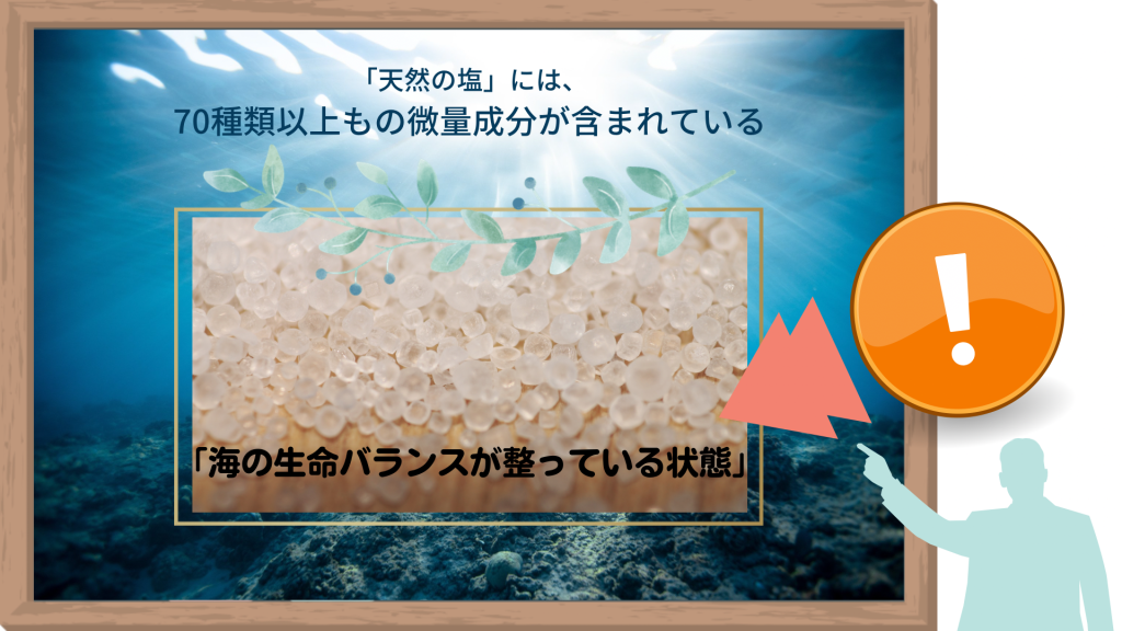 天然の塩は、海の生命バランスが整ったミネラルたっぷりの塩
